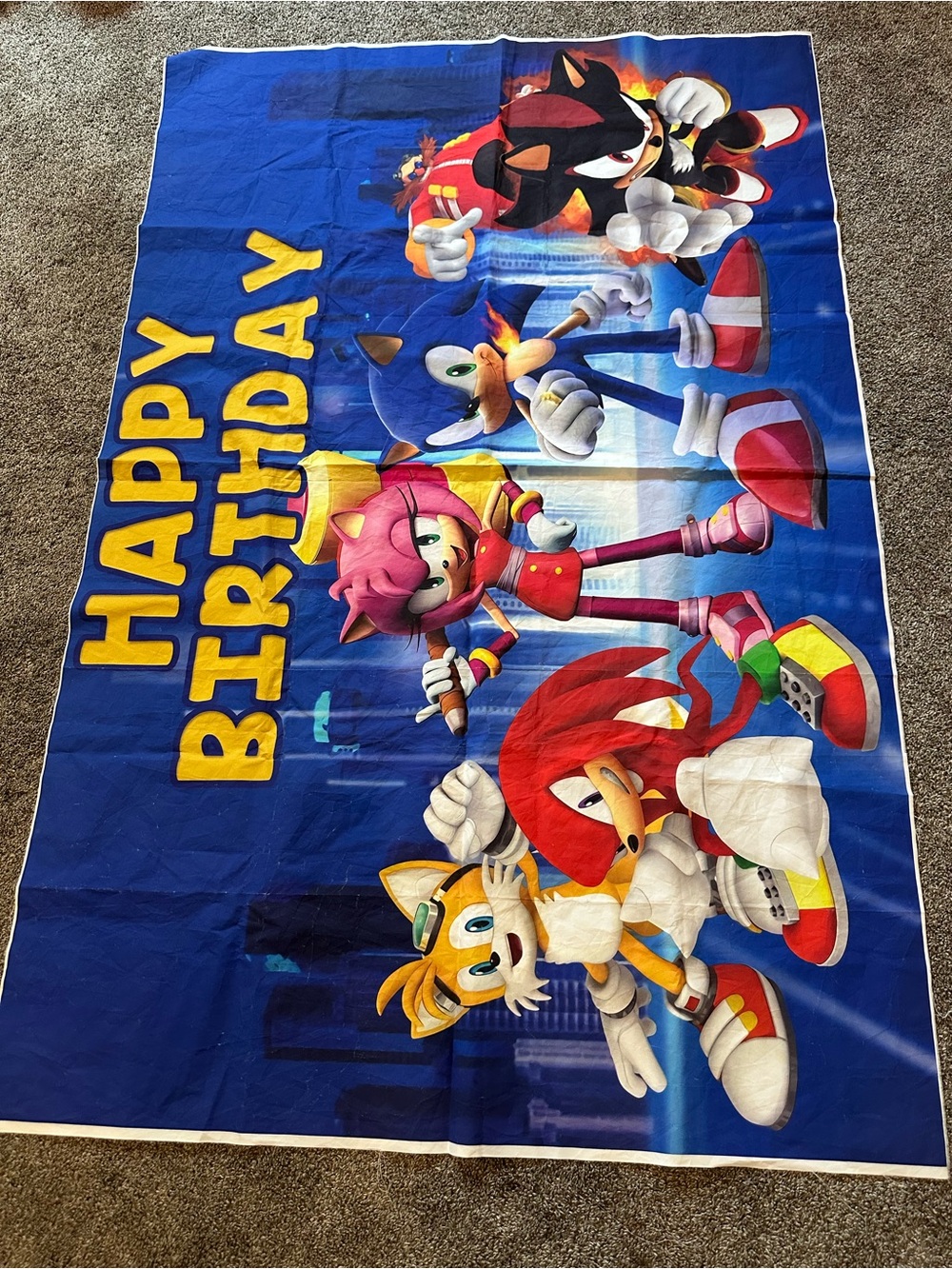 Sonic Themed Happy Birthday Party supplies